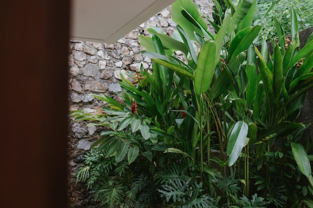Porter Hotel - Surf & Yoga Retreat Kuta  Bilik gambar